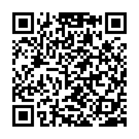 QR code for HEI919