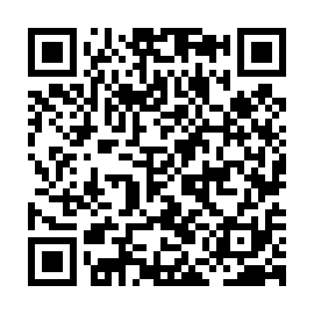 QR code for HEN411