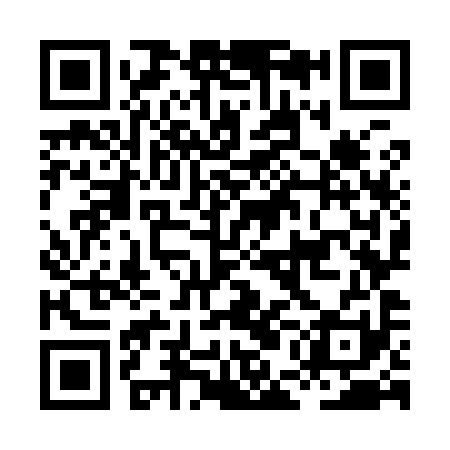 QR code for HEO991