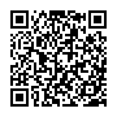 QR code for HEX385