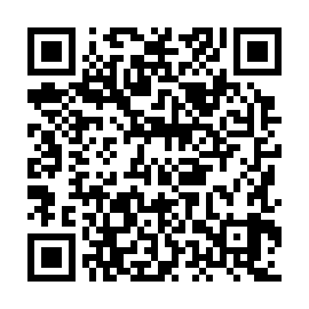 QR code for HEX389