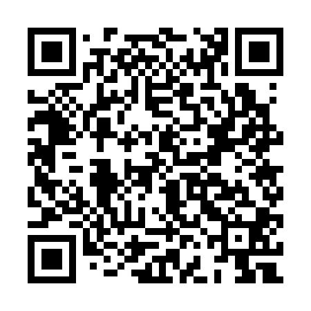 QR code for HFG300