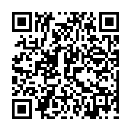 QR code for HFS363
