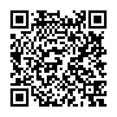 QR code for HIE838