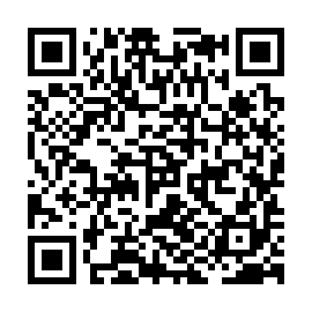 QR code for HIK390