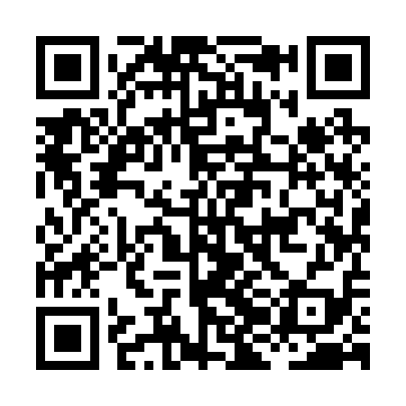 QR code for HJI219