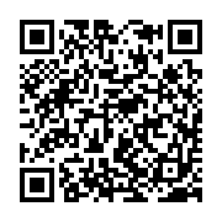 QR code for HJR313