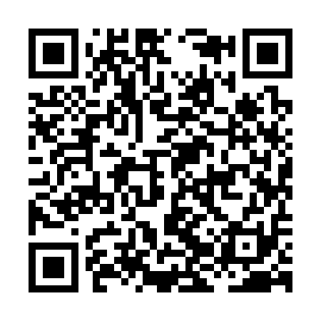 QR code for HJY311