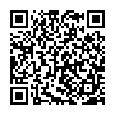 QR code for HKL392