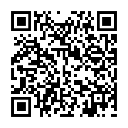 QR code for HKO383