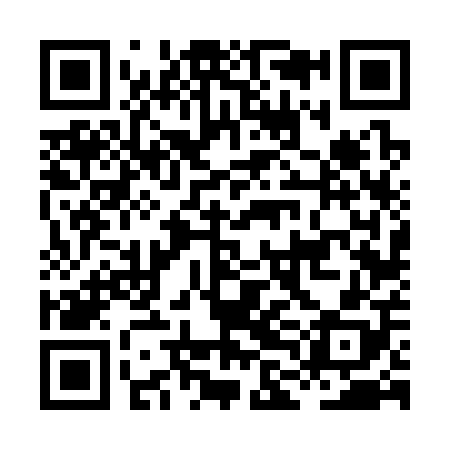 QR code for HLF308