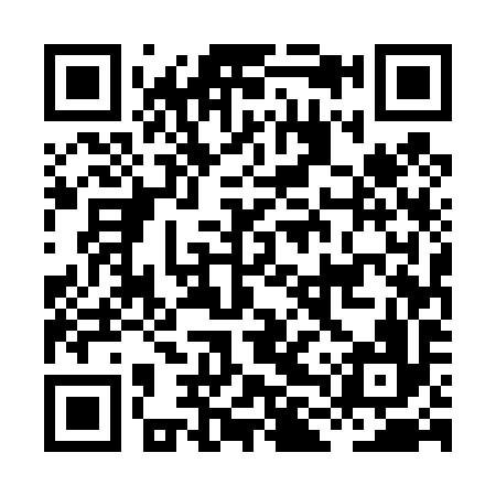 QR code for HLU496