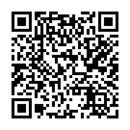 QR code for HLY393