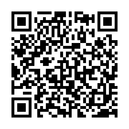 QR code for HMN393