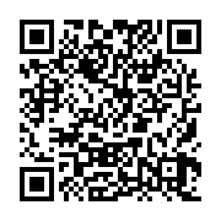 QR code for HNY128