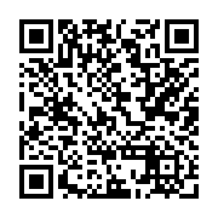 QR code for HOI919