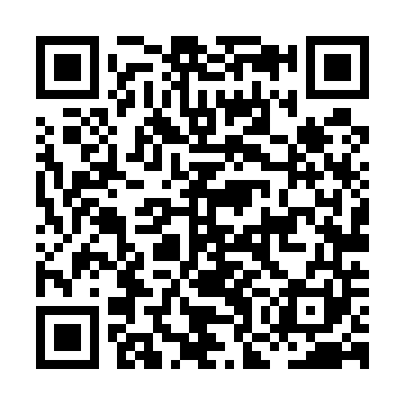 QR code for HOL541