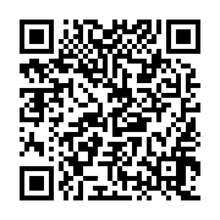 QR code for HON816