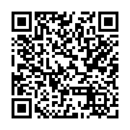 QR code for HOO313