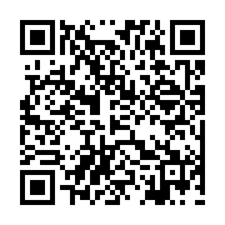 QR code for HOS381