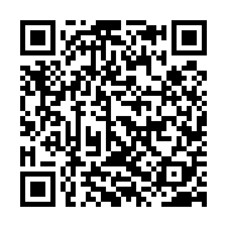 QR code for HPV509