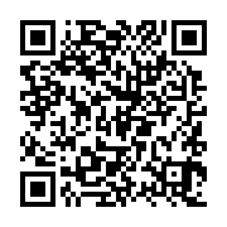 QR code for HSD381