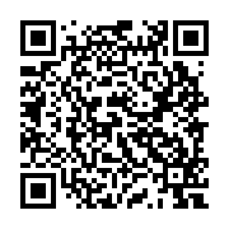QR code for HSH397