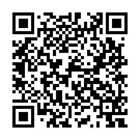 QR code for HSK196