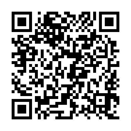 QR code for HSN393