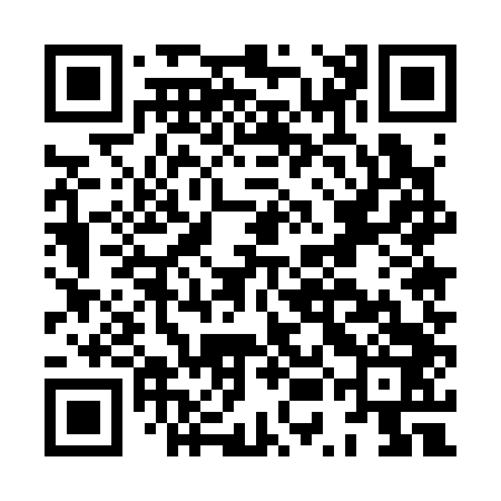 QR code for HUE343