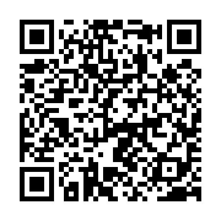 QR code for HUF599