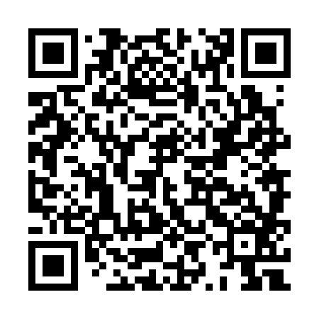QR code for HYN386