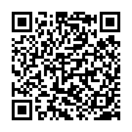 QR code for HYS601