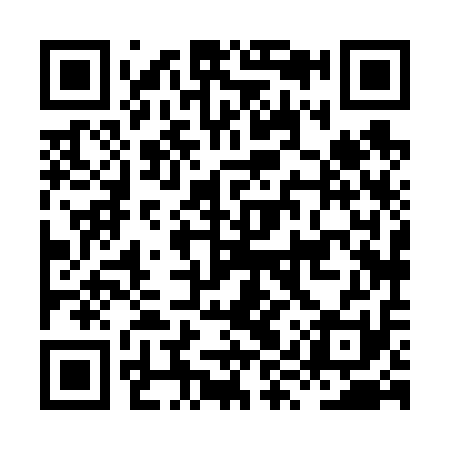 QR code for HYX611