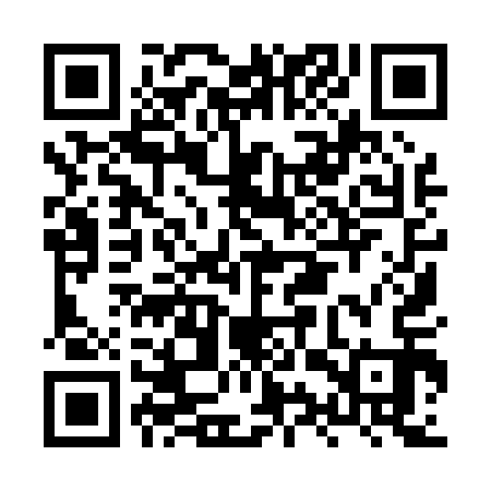 QR code for HYY013