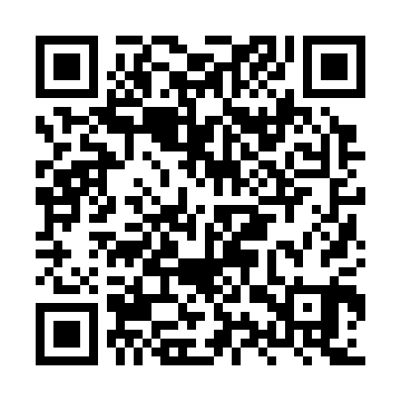 QR code for HYZ301