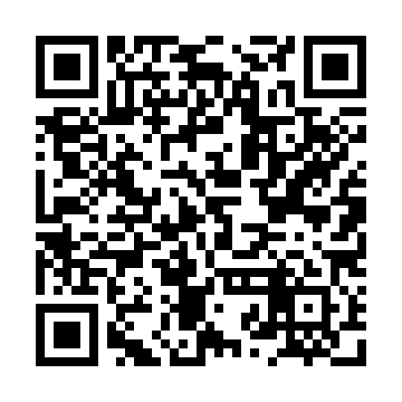 QR code for HZD381