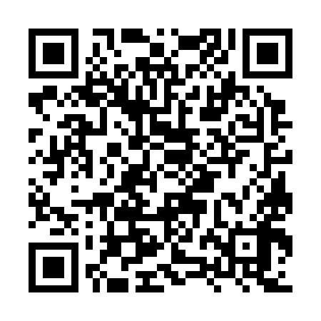 QR code for HZG398