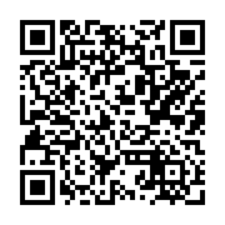 QR code for HZN411