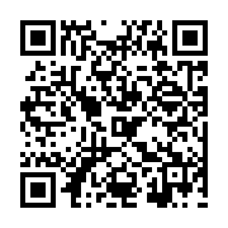 QR code for HZS981