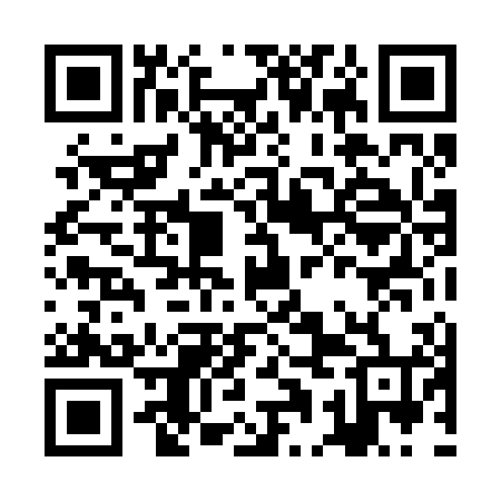 QR code for JAL204