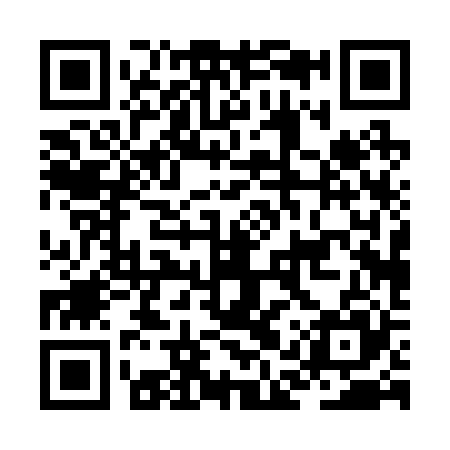 QR code for JAP225