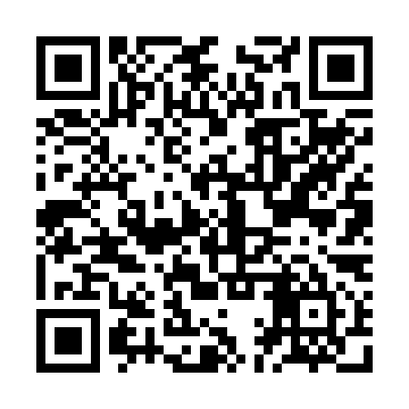 QR code for JAV295