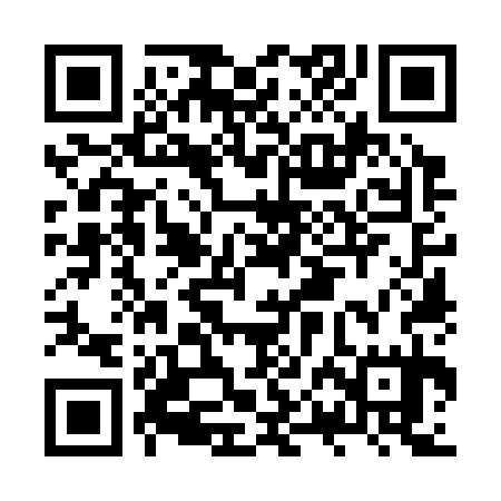 QR code for JPO335