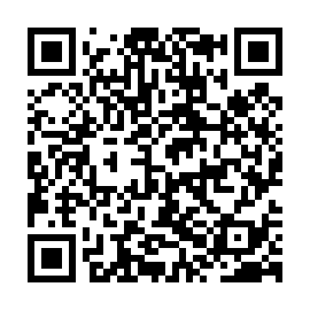 QR code for JPO439