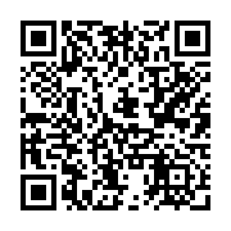 QR code for JPV313