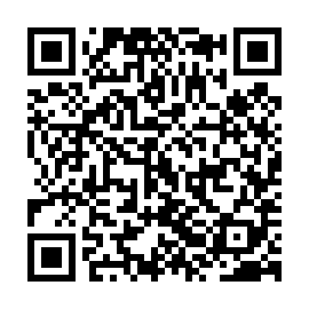 QR code for JRG489