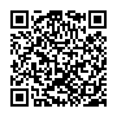 QR code for KZG411