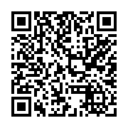 QR code for LAG295