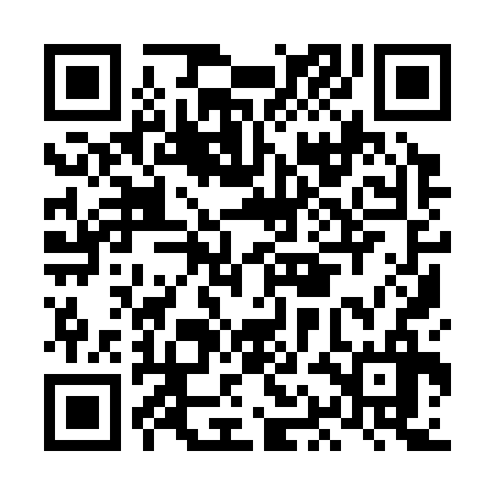 QR code for LAI336